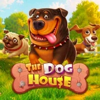 The Dog House